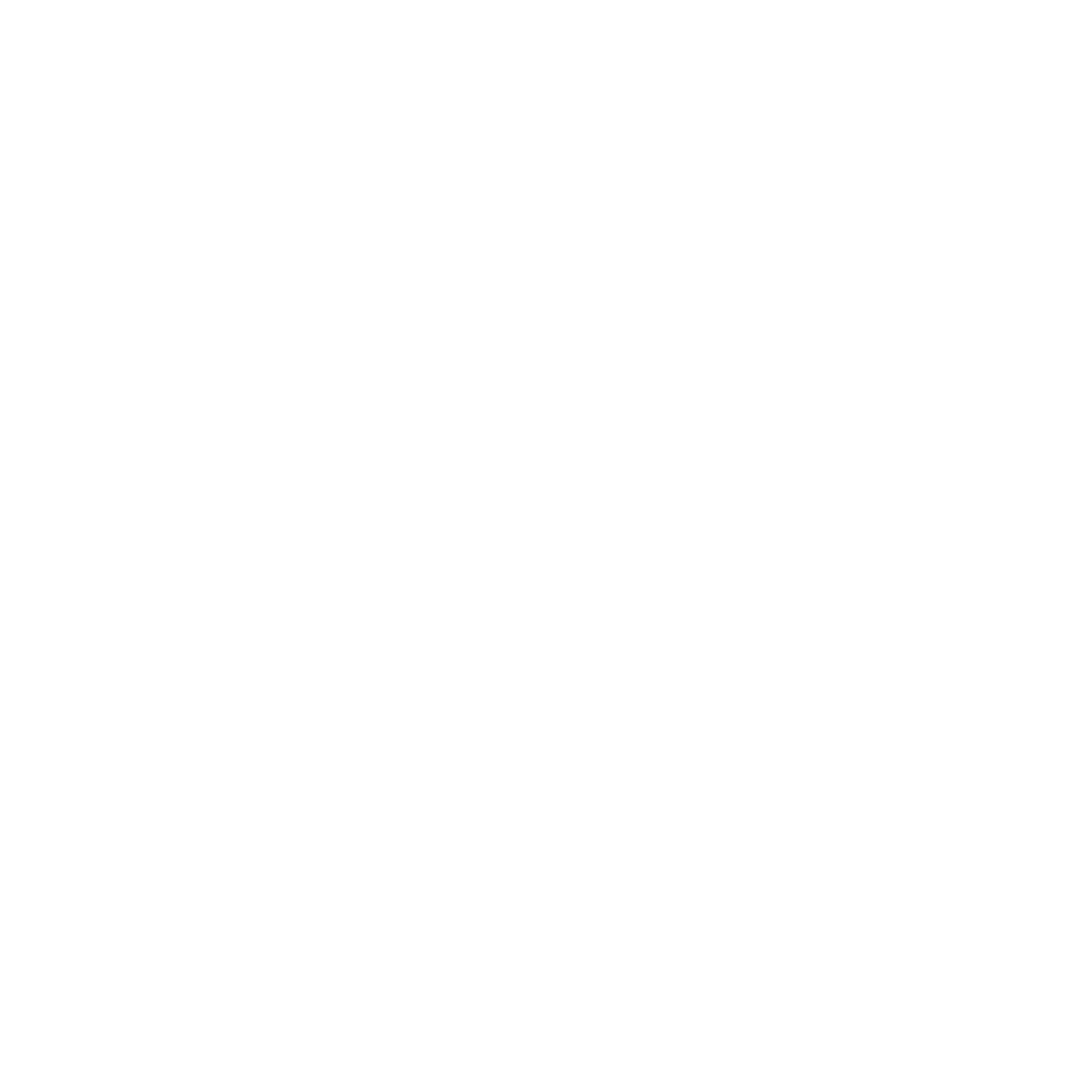 nidi di Vespe e calabroni Bologna